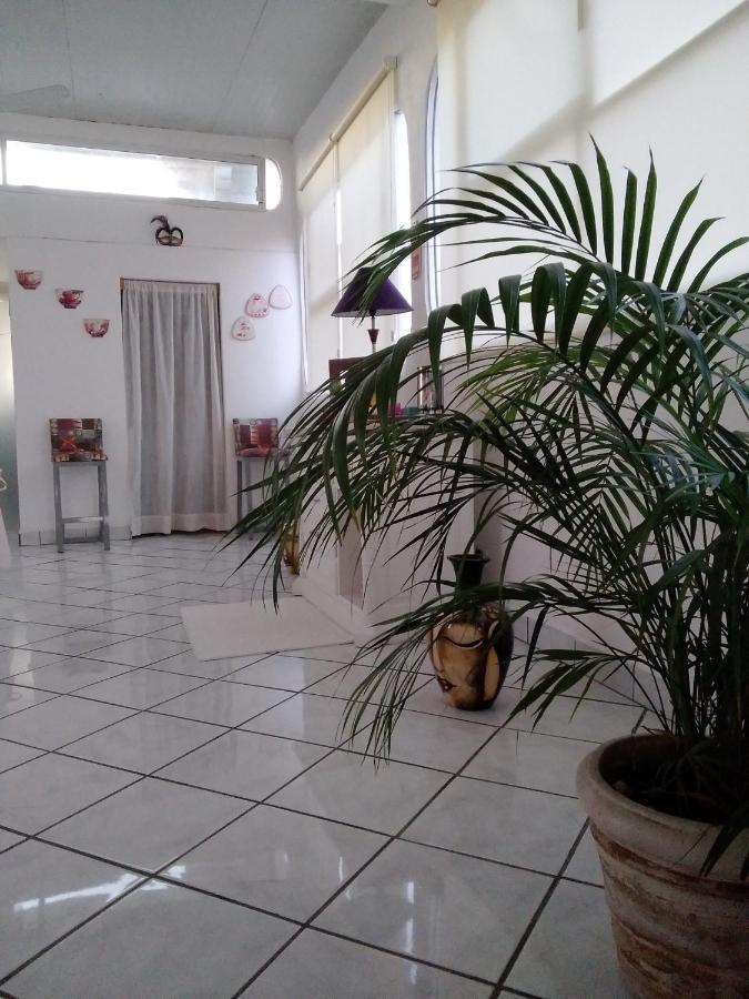 Boutique Basic Hotel Πουέρτο Βαγιάρτα Εξωτερικό φωτογραφία