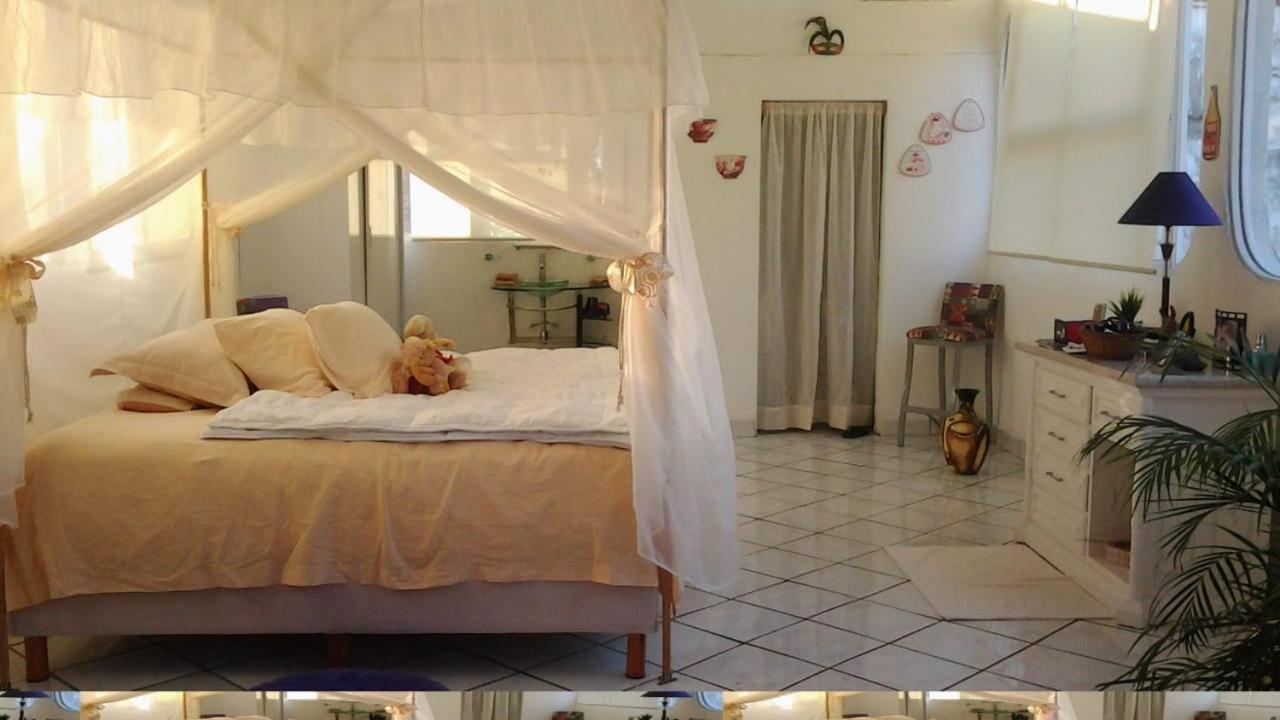 Boutique Basic Hotel Πουέρτο Βαγιάρτα Εξωτερικό φωτογραφία